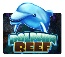 Dolphin Reef Joker123 Slotxo Joker