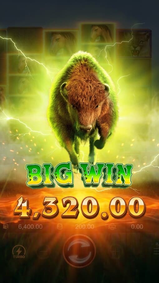 Buffalo Win PG Slot Download