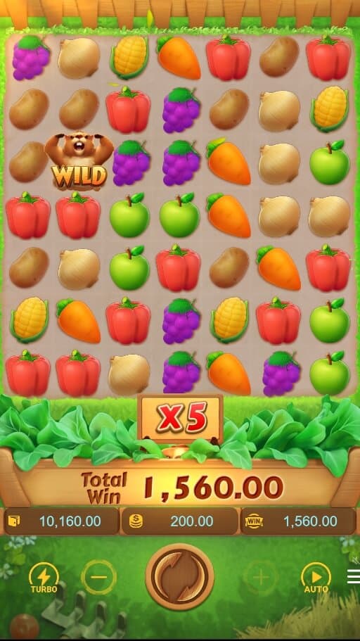 Groundhog Harvest PG Slot Game