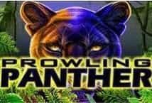 Prowling Panther Microgaming สล็อตจาก PG SLOT สล็อตโจ๊กเกอร์ Joker123th
