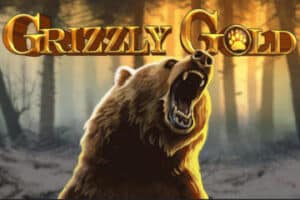 Grizzly Gold สล็อตจาก PG SLOT สล็อตโจ๊กเกอร์ ดาวน์โหลด สล็อต 1234 Joker