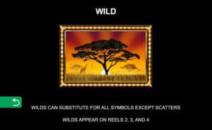 African Ques สล็อตโจ๊กเกอร์ ดาวน์โหลด Slot1234 Joker