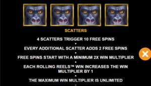 Forgotten Island Megaways สล็อตโจ๊กเกอร์ ดาวน์โหลด slotxo casino