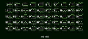 Wild Catch สล็อตโจ๊กเกอร์ ดาวน์โหลด ดาวน์โหลด สล็อตโจ๊กเกอร์ 99