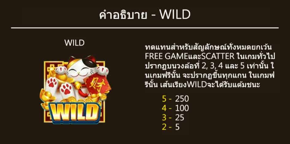 Coin Cat สล็อตค่าย Askmebet Jokerslot99