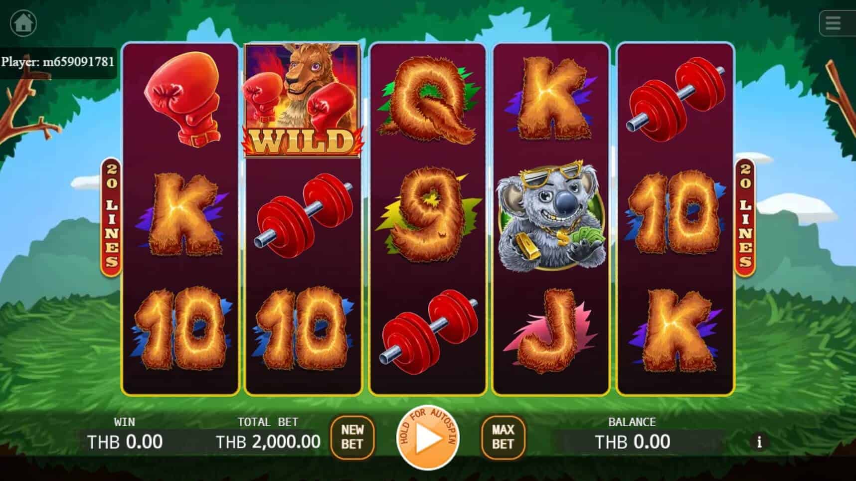 Boxing Roo สล็อต เว็บตรง ไม่ผ่านเอเย่นต์ ค่าย KA Gaming joker123 ฟรีเครดิต