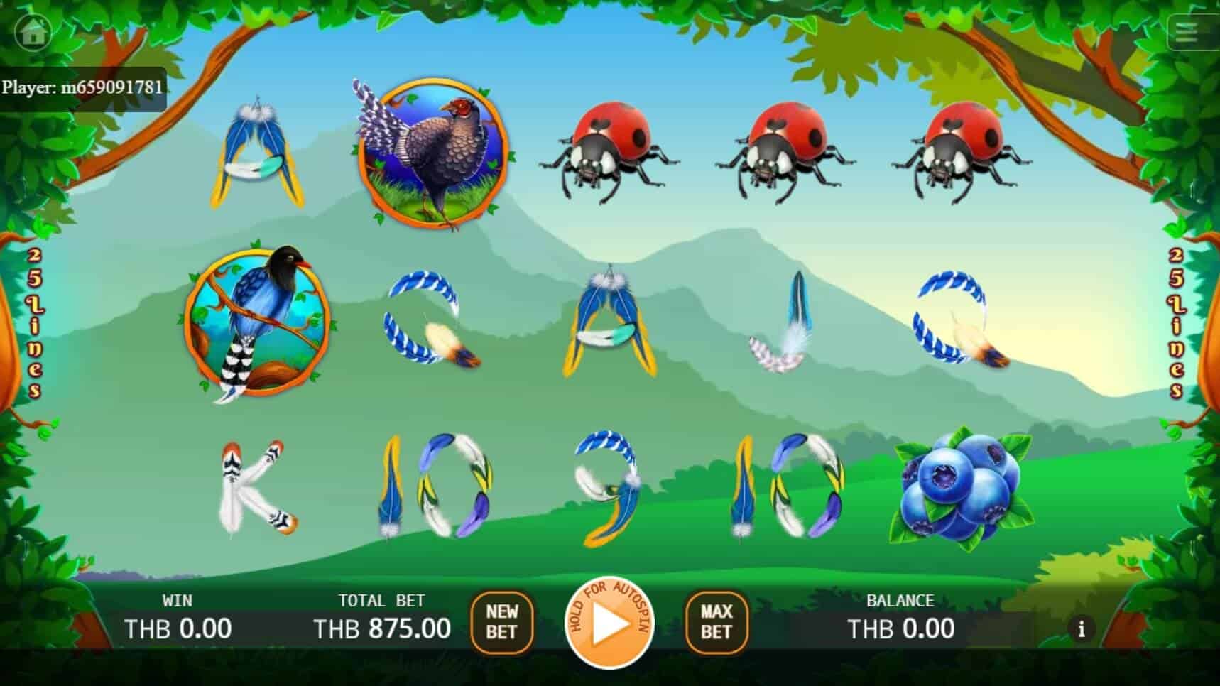 Formosan Birds สล็อต เว็บตรง ไม่ผ่ายเอเย่นต์ ค่าย KA Gaming joker123 net