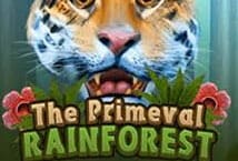 Primeval Rainforest สล็อต เว็บตรง ไม่ผ่านเอเย่นต์ ค่าย KA Gaming