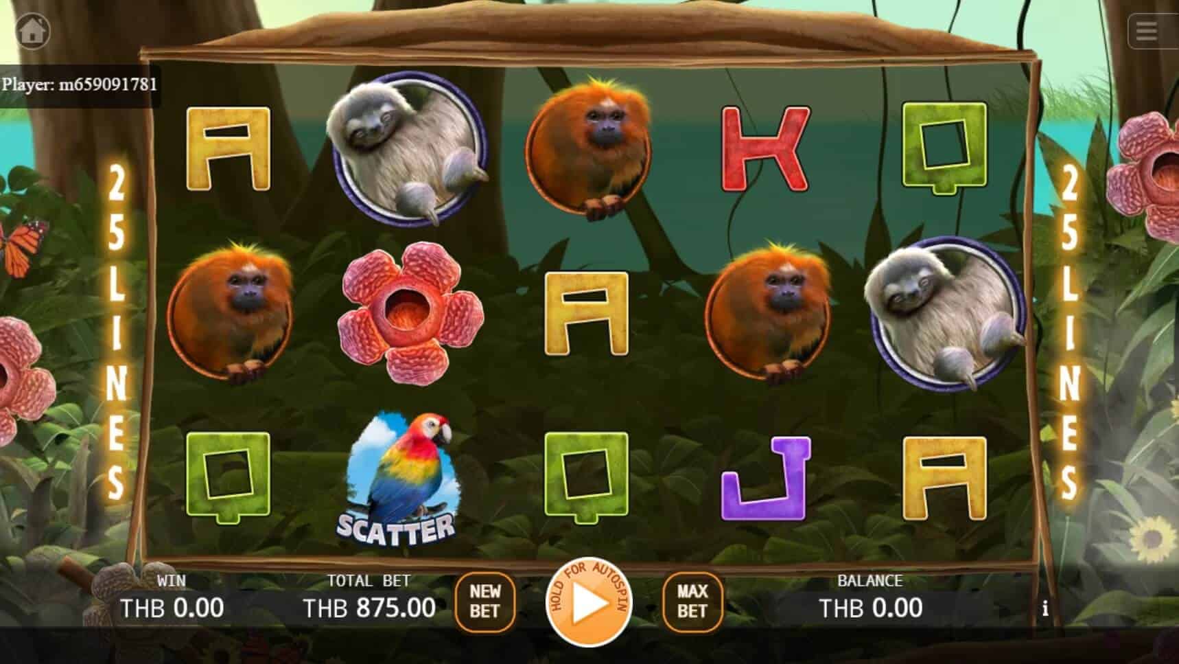 Primeval Rainforest สล็อต เว็บตรง ไม่ผ่านเอเย่นต์ ค่าย KA Gaming สล็อตโจ๊กเกอร์ 168