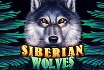 Siberian Wolves สล็อต เว็บตรง ไม่ผ่านเอเย่นต์ ค่าย KA Gaming