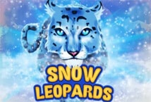 Snow Leopards สล็อต เว็บตรง ไม่ผ่านเอเย่นต์ ค่าย KA Gaming