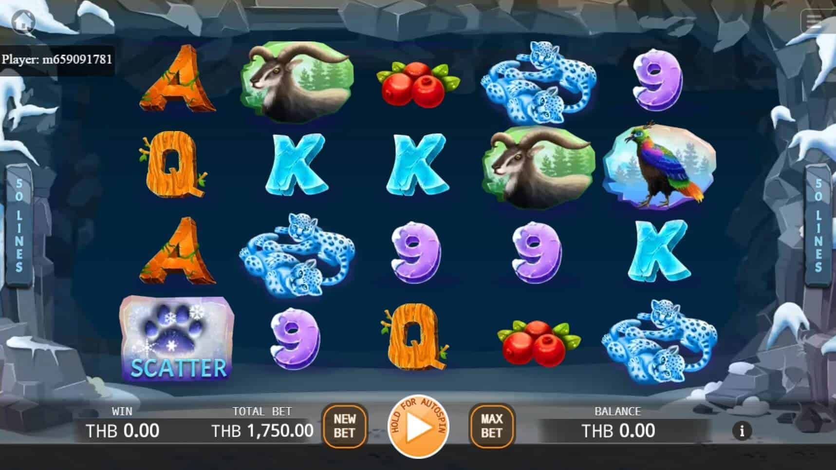 Snow Leopards สล็อต เว็บตรง ไม่ผ่านเอเย่นต์ ค่าย KA Gaming joker gaming