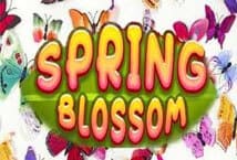 Spring Blossom สล็อต เว็บตรง ไม่ผ่ายเอเย่นต์ ค่าย KA Gaming