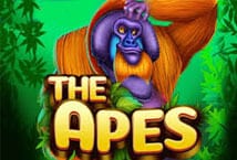 The Apes สล็อต เว็บตรง ไม่ผ่ายเอเย่นต์ ค่าย KA Gaming