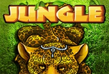 Jungle สล็อต เว็บตรง ไม่ผ่านเอเย่นต์ ค่าย KA Gaming