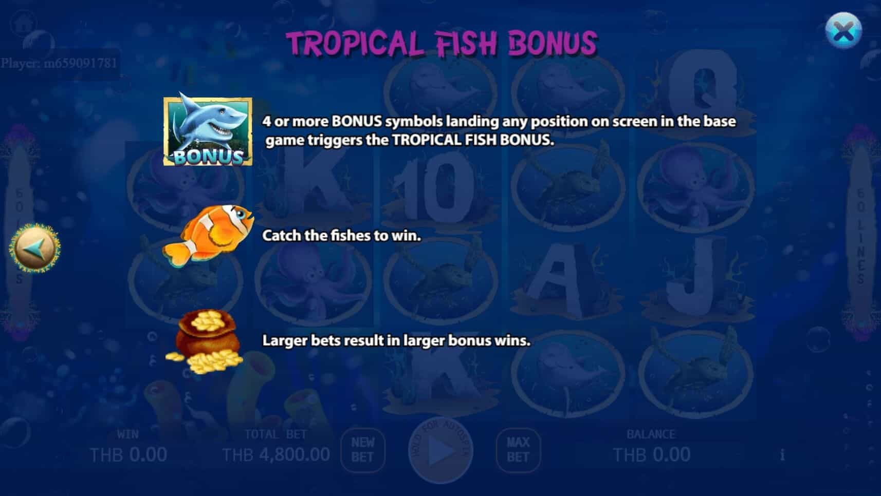 Mermaid Seas สล็อต เว็บตรง ไม่ผ่านเอเย่นต์ ค่าย KA Gaming joker388 net