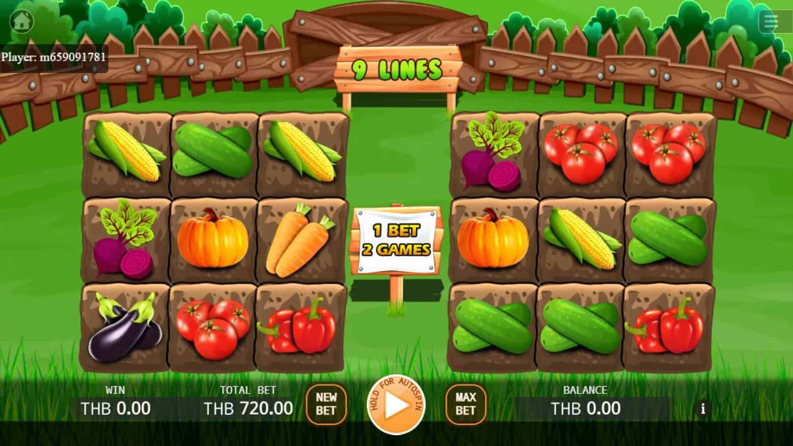 Veggies Plot สล็อต เว็บตรง ไม่ผ่านเอเย่นต์ ค่าย KA Gaming ฝาก ถอน joker123